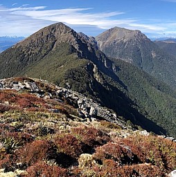 Richmond2.jpg: 799x805, 295k (2022 Nov 02 21:58)