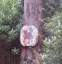 CowCreek1.jpg: 849x876, 240k (2022 Nov 30 20:27)