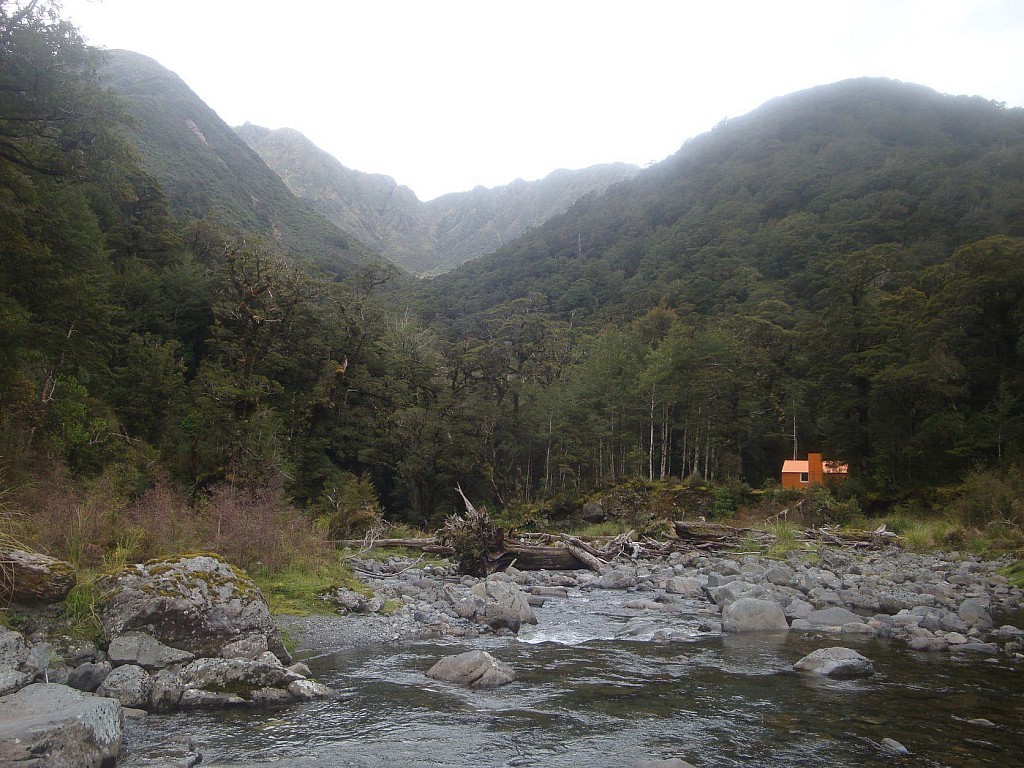 click on the photo to download the original image

CowCreek2