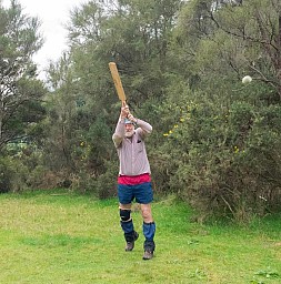 Cricket2.jpg: 799x809, 288k (2023 May 31 23:47)