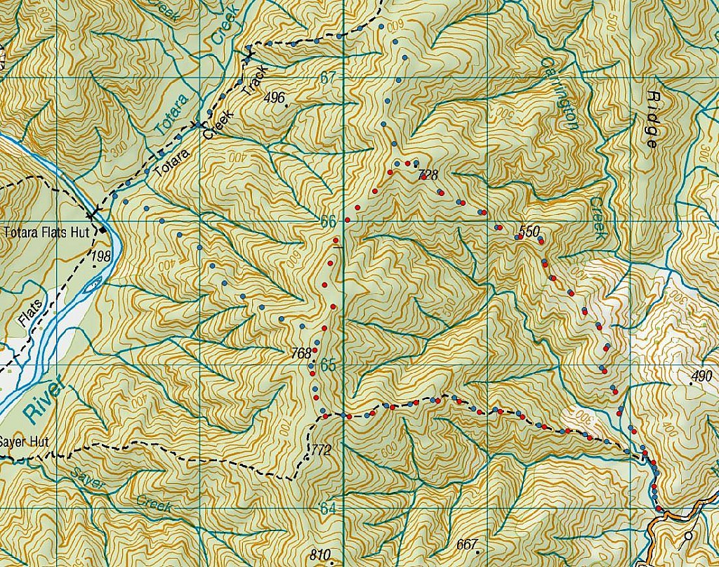 click on the photo to download the original image

Mangaterere1