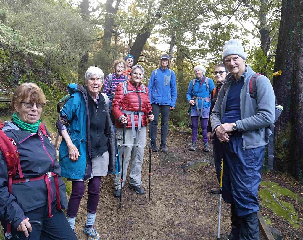 click on the photo to download the original image

Butterfly1