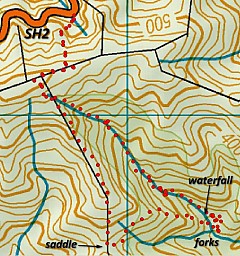 Pigeon1.jpg: 695x741, 211k (2023 Aug 01 23:28)