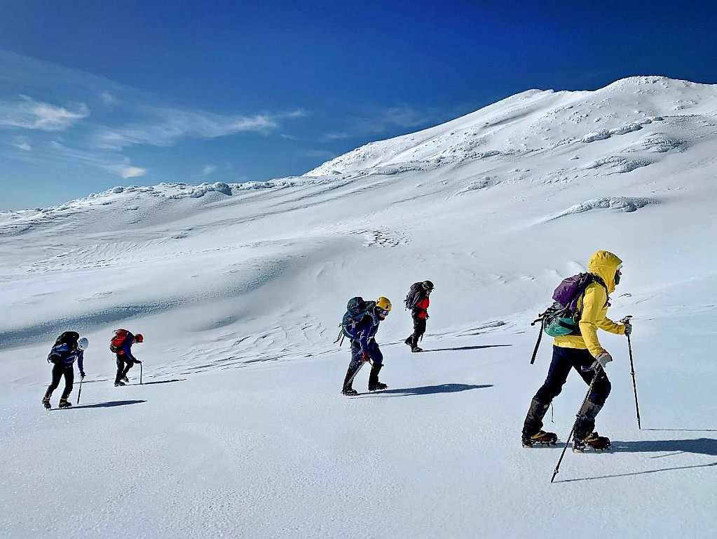 click on the photo to download the original image

Whakapapa1