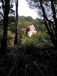 Hector1.jpg: 849x1133, 211k (2023 Oct 01 23:13)