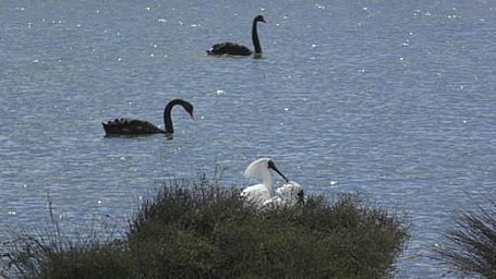 Hawkes4.jpg: 519x292, 43k (2024 Mar 04 23:08)