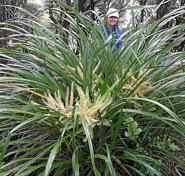 Hawkes8.jpg: 827x788, 295k (2024 Mar 05 08:15)