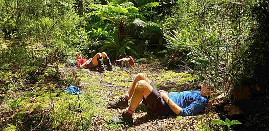 Alloway 4
Original size:&nbsp;1,613 x 785; 808 kB
Filename:&nbsp;'Alloway4'