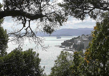 Oriental Bay 1
Original size:&nbsp;1,479 x 1,029; 691 kB
Filename:&nbsp;'OrientalBay1'