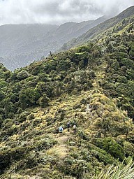 Mathews SS 2
Original size:&nbsp;450 x 600; 162 kB
Filename:&nbsp;'MathewsSS2'