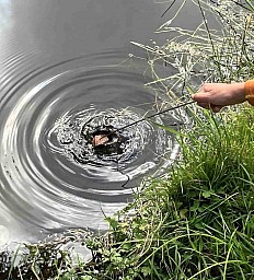 GP 1
Original size:&nbsp;744 x 820; 263 kB
Filename:&nbsp;'GP1'