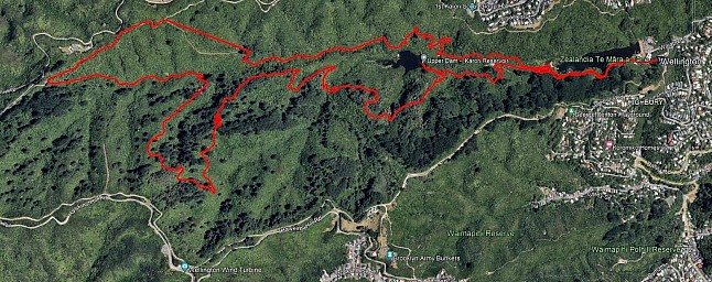 Zealandia 1
Photo:&nbsp;Alan
Original size:&nbsp;1,558 x 617; 480 kB
Filename:&nbsp;'Zealandia1'