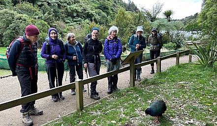 Zealandia 4
Photo:&nbsp;Alan
Original size:&nbsp;1,415 x 822; 582 kB
Filename:&nbsp;'Zealandia4'