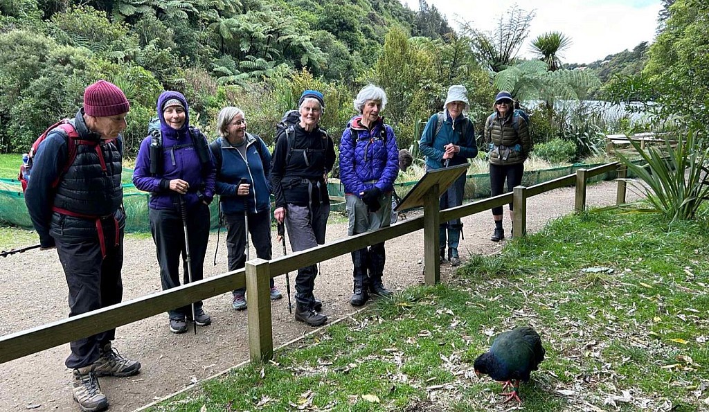 click on the photo to download the original image

Zealandia4