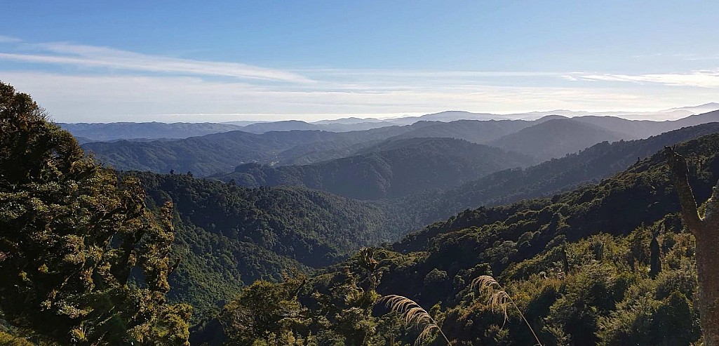 click on the photo to download the original image

Wainui4