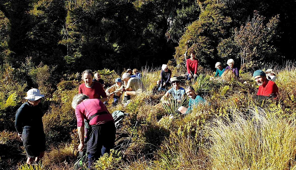 click on the photo to download the original image

Wainui3
