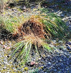 Work 3
Original size:&nbsp;392 x 400; 122 kB
Filename:&nbsp;'Work3'