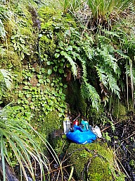 The elusive water source
Original size:&nbsp;960 x 1,280; 665 kB
Filename:&nbsp;'The elusive water source'