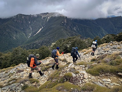 LC 04
Photo:&nbsp;'2025 Oct 25 11:10'
Original size:&nbsp;4,032 x 3,024; 9,252 kB
Filename:&nbsp;'LC04'