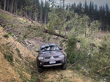 LC 19
Photo:&nbsp;'2025 Oct 27 11:23'
Original size:&nbsp;4,032 x 3,024; 11,260 kB
Filename:&nbsp;'LC19'