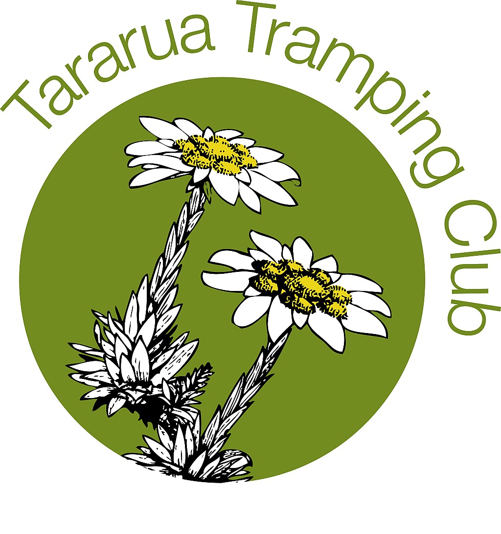 click on the photo to download the original image

TTC_Logo_2010