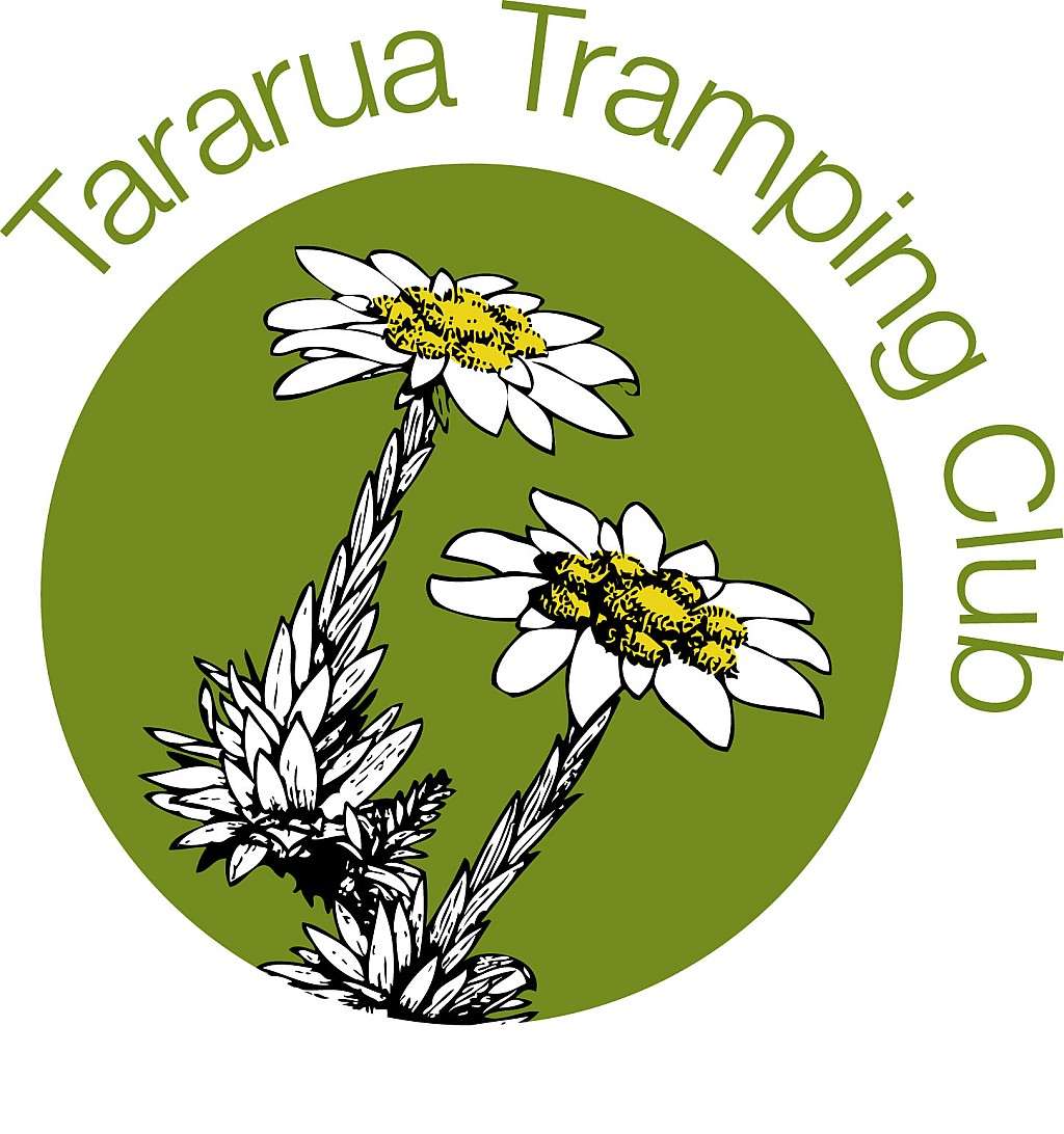 click on the photo to download the original image

TTC_Logo_2010_LowRes