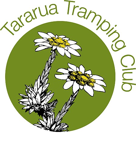 TTC_Logo_2010.jpeg: 1448x1544, 738k (2014 Jul 21 07:52)