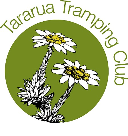 TTC_Logo_2010_LowRes.jpeg: 1448x1544, 334k (2014 Jul 21 07:52)