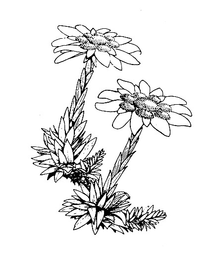 Old_TTC_logo.jpeg: 2364x2840, 732k (2016 Oct 12 00:00)