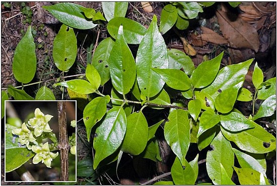 hangehange.jpg: 815x547, 99k (2016 Nov 26 00:00)