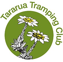 ttc-logo.png: 800x790, 92k (2014 Jul 21 07:47) ttc-logo.png: 800x790, 92k (2014 Jul 21 07:47)
